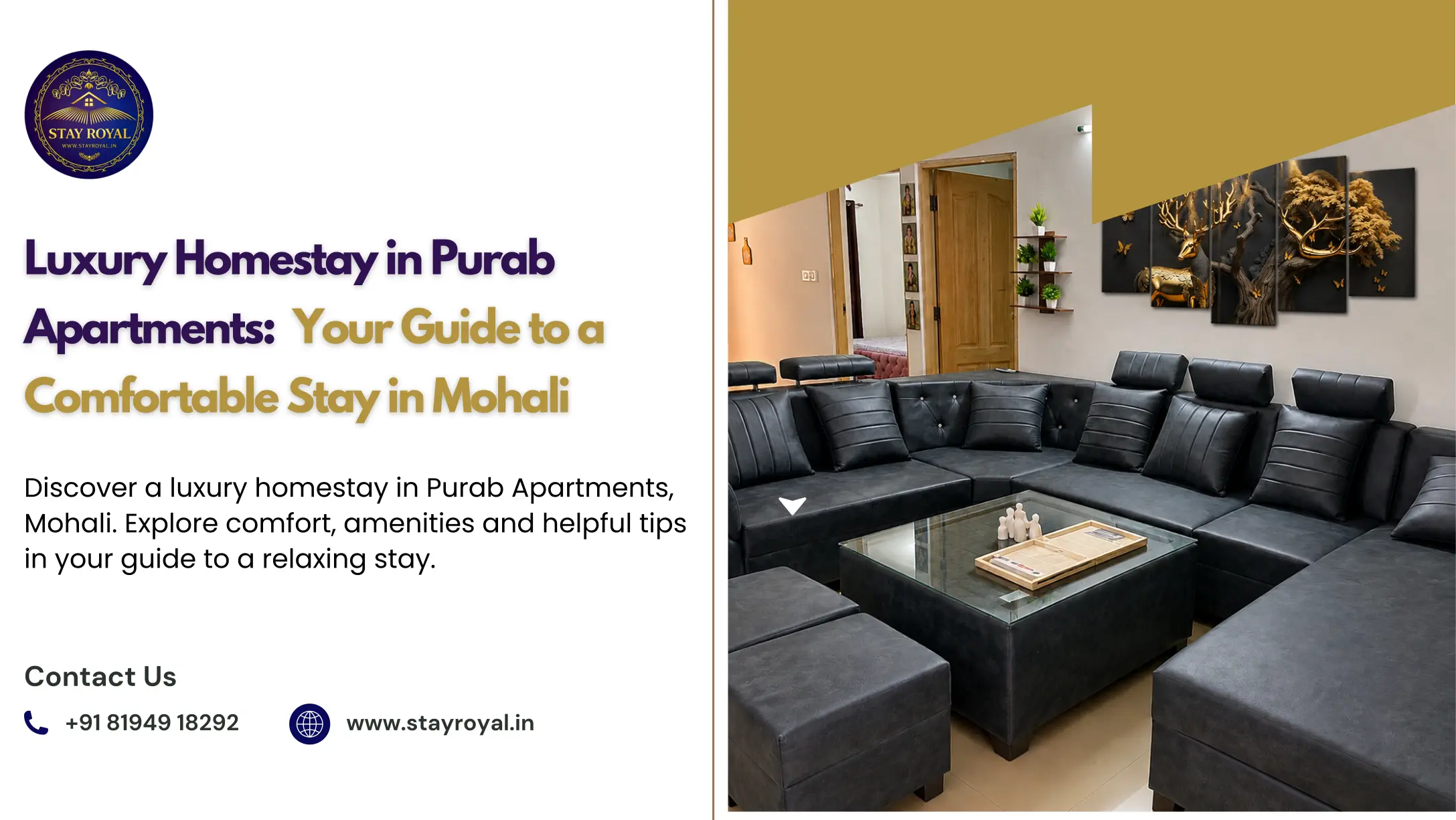 Luxury Homestay in Purab Apartments: Your Guide to a Comfortable Stay in Mohali
